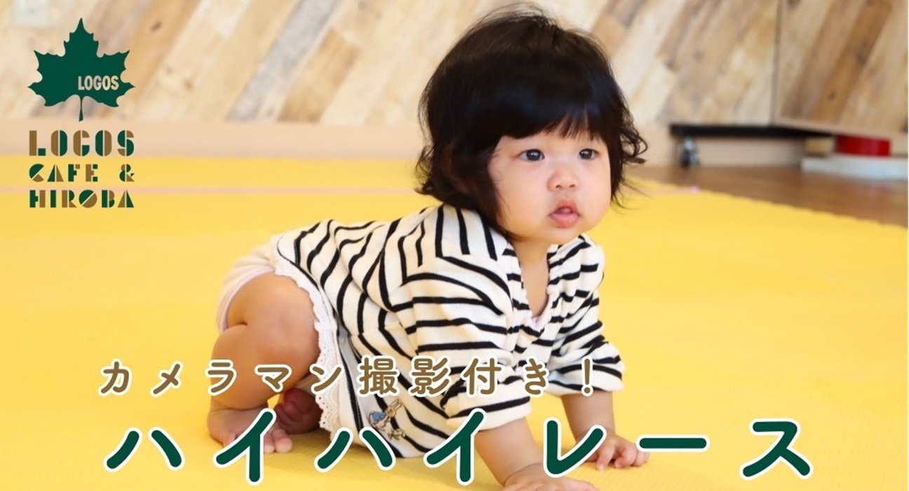 ハイハイレース